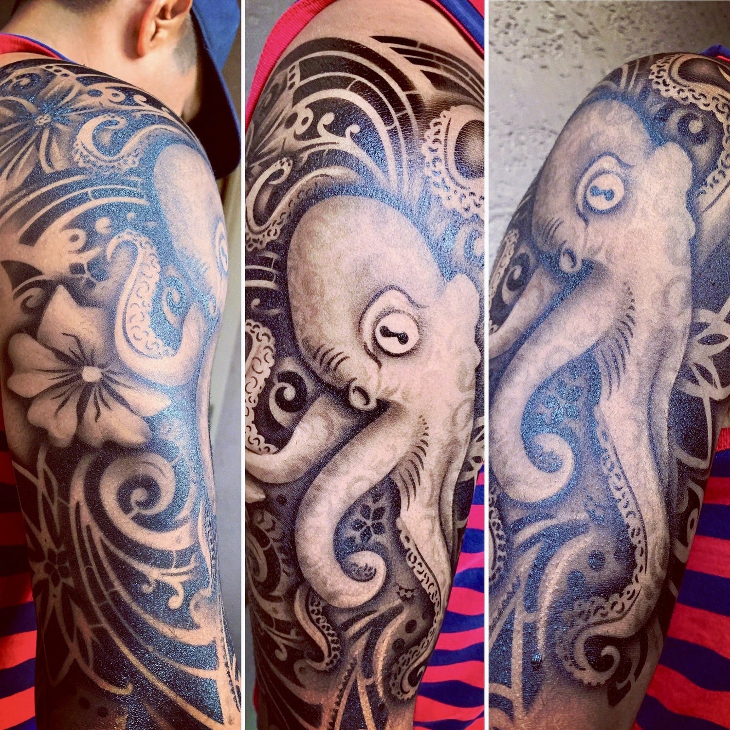 Ocean Collection