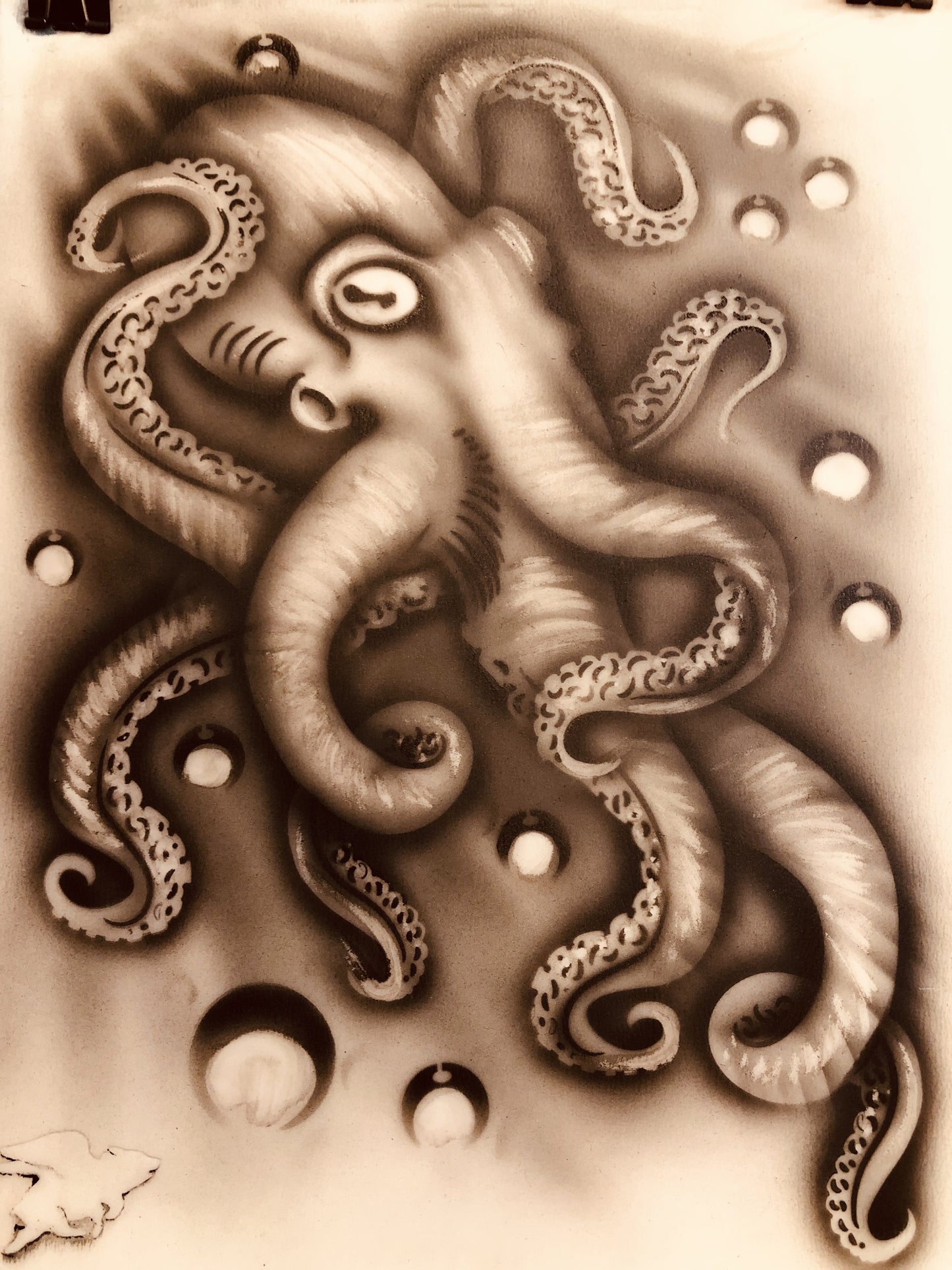 Ocean Octopus Pack